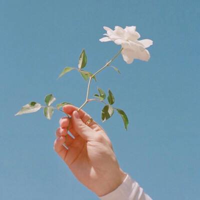 天师后裔游戏官方下载